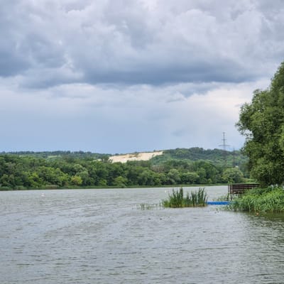 The image depicts a wide, calm river under a cloudy sky. The riverbank is lined with dense green trees, with a lighter-colored, sloped hill in the distance. A power line tower is visible on the horizon. In the foreground, the water shows ripples, and a small wooden dock juts out into the river on the right. Some aquatic plants and reeds are present near the dock. There are a few birds on the water and a red and white buoy further out. A blue inflatable object is partially submerged near the dock. The scene appears to be a natural landscape with some man-made structures. The location is the Don River in Liski, Russia.