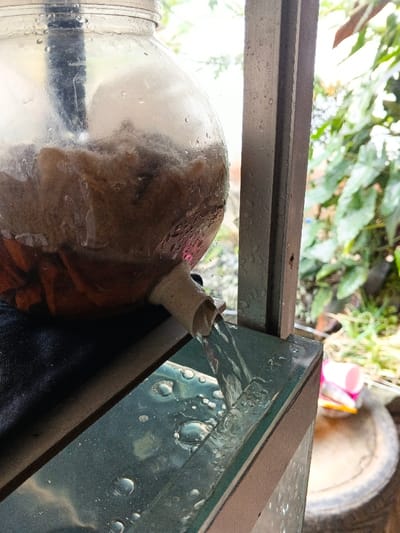 In Sarandi de Cuadra, Uruguay, a close-up, outdoor scene depicts a clear, roughly spherical glass jar functioning as a water collection or filtration system. The jar is approximately 30-40 cm in diameter and contains a dense, brownish, fibrous material partially submerged in liquid, along with some darker, reddish-brown fragments at the bottom. A short, light-colored spout, about 3 cm in length, is attached to the lower side of the jar, from which a continuous stream of clear water flows downwards. The water stream impacts a horizontal, dark-toned, reflective surface positioned directly beneath the spout, creating numerous visible water droplets and small bubbles on its surface. To the right of the jar, a vertical, dark metal structural beam is visible, exhibiting some surface wear. The background shows an outdoor environment characterized by lush green foliage and plant life. In the lower right background, a dark, cylindrical object, possibly a tire or barrel, is partially visible, alongside a bright pink plastic cup or container. No individuals or animals are present in the frame.