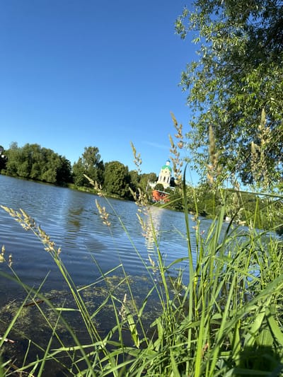 The image captures a serene lakeside view with a church in the background, situated in the city of Fryazino, Russia. In the foreground, tall green grass and reeds grow along the water's edge, with the lake stretching out into the distance. The water is calm, with gentle ripples reflecting the clear blue sky above. Across the lake, a dense line of lush green trees borders the opposite shore.
Dominating the middle ground, a distinctive church stands out with its white bell tower topped by a bright green dome. The church complex also features a red-brick building. The overall scene is bathed in bright sunlight, suggesting a pleasant, clear day. The perspective is low, with the grass in the foreground partially obscuring the view of the water and the church, creating a natural framing effect. The absence of any people or animals suggests a tranquil, uninhabited setting at the moment the photograph was taken.