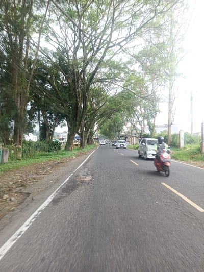 A road stretches into the distance, lined with trees that create a canopy overhead. A scooter travels along the right side of the road, passing a silver car. Other cars are visible further down the road. The road surface appears to be asphalt, and there is a white line marking the edge of the road. Vegetation grows on either side of the road, closer to the camera.