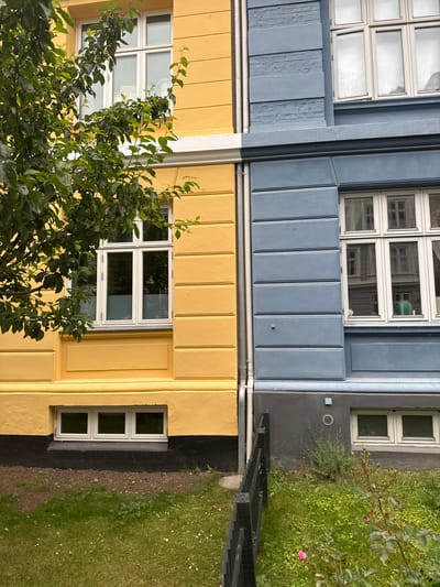 The image shows the exterior of two attached buildings in Frederiksberg, Denmark, divided vertically down the center. The building on the left is painted a bright yellow, while the building on the right is painted a muted blue. Both buildings have multi-paned white-framed windows. A large green tree with dense foliage partially obscures the left side of the yellow building, with branches reaching across the divide into the frame of the blue building. The ground in front of the buildings is covered in green grass with small white flowers. A low black wooden fence runs along the base of the blue building, separating it from the grassy area. The architecture suggests a residential area.