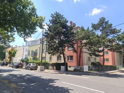 This is a street-level, daytime, eye-level, medium shot of a residential street in Mödling, Austria. The scene depicts a row of multi-story apartment buildings with pastel-colored facades, some with red brick accents. Large evergreen trees with dense foliage are situated in front of and between the buildings, casting shadows on the street and sidewalk. A paved road runs diagonally across the foreground, with a white line marking the lane. Parked cars, including a gray Fiat 500 and a dark sedan, are visible along the curb. Several street signs are present, including one with multiple directional arrows and speed limit signs. The sky is blue with scattered white clouds. The overall impression is a typical urban residential setting on a sunny day.