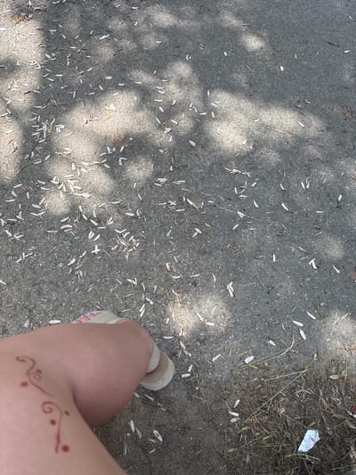 The image shows a close-up view of a person's leg and foot, wearing a flip-flop, resting on an asphalt surface. The asphalt is scattered with numerous small, light-colored leaf-like debris and some dry grass. Shadows of tree branches are cast across the ground, indicating an outdoor setting. A small, reddish-brown henna-like design is visible on the person's thigh. In the bottom right corner, a small piece of crumpled white paper, possibly a receipt, is partially visible amongst the debris and grass. The overall scene suggests a casual outdoor environment, possibly a park or sidewalk area in the town of Garmen, Bulgaria.