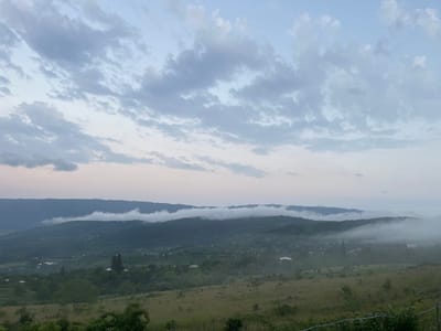 The image depicts a panoramic view of a valley in the city of Nikortsminda, Georgia. Rolling green hills dotted with small white houses recede into the distance, partially obscured by a low-lying fog that hugs the contours of the landscape. The fog creates a dramatic effect, making the tops of the hills appear to float. The sky above is a pale blue, streaked with wispy clouds that are tinged with pink and lavender, suggesting either sunrise or sunset. The foreground of the image consists of a grassy field with scattered trees and bushes, and a hint of a wire fence running along the bottom edge. The overall impression is one of a serene and misty rural landscape.