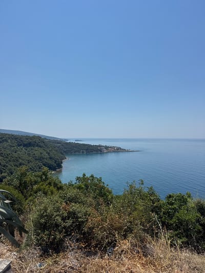 The image displays a scenic coastal view with a clear blue sky. The foreground is dominated by dry brush and green foliage, including a large agave plant on the left. A lush, green forest covers a sloping hillside that curves along the coastline. The sea is a deep blue, with gentle waves. In the distance, a small settlement with buildings can be seen perched on a rocky outcrop jutting into the sea. The location is identified as Pečurice, Montenegro. There are no people or animals visible in the image. The scene depicts a tranquil natural environment and a coastal settlement under a bright, sunny sky.