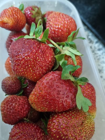 A close-up shot showcases a clear plastic container filled with ripe strawberries. The strawberries are predominantly a vibrant red, with some exhibiting lighter reddish-orange hues, particularly near the stems. Their surfaces are textured with numerous small, yellow seeds. Green leaves and stems are visible, attached to some of the fruits, adding a touch of natural contrast to the red. The strawberries are packed closely together, suggesting they might have just been picked or are ready for consumption. The background is blurred, but appears to be a speckled, neutral-colored surface, possibly a countertop. The lighting suggests an indoor setting, possibly during the daytime given the bright illumination on the fruit. There is no visible text in the image. The context of Kemul, Russia, places the scene in a specific geographical location, though no explicit visual cues directly indicate this. The overall impression is one of freshness and natural bounty.