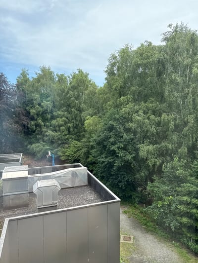 The image shows a view from a rooftop, looking outwards towards a dense forest and a cloudy sky. The rooftop itself is functional, with several large, metallic ventilation units and ductwork. The surface of the roof appears to be covered in a dark, textured material, possibly gravel or a similar aggregate. To the right of the rooftop, a paved pathway or road is visible, bordered by lush green foliage and trees.
In the distance, a wall of thick green trees dominates the landscape, suggesting a natural or park-like setting. The sky is overcast with soft, diffused light, indicating it is likely daytime, though the specific time is difficult to ascertain due to the cloud cover. There are no people visible in the image, and the focus is on the industrial elements of the rooftop against the natural backdrop. A small, square concrete structure is embedded in the ground near the pathway. The overall impression is one of an urban or semi-urban environment where buildings are situated close to natural green spaces. There is no discernible text in the image.