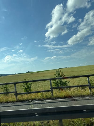 This is a photograph of a roadside view in Giessen, Germany. The image is oriented vertically, with the sky occupying the left side and a roadside barrier and a field on the right. The sky is a clear blue with scattered white cumulus clouds. The field appears to be agricultural, possibly a crop field, with a uniform green color stretching towards a distant treeline. A metal guardrail runs along the right edge of the image, separating the field from what appears to be a road. There are some green bushes and trees growing near the guardrail. The sun is shining, casting shadows and illuminating the scene, suggesting it is daytime, likely late morning or afternoon. There are no people or specific events depicted, it's a scenic view of a rural or semi-rural landscape. The lighting and clear sky suggest fair weather. There is no visible text in the image.