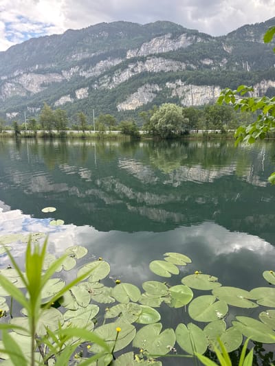 The image shows a body of water with lily pads and a reflection of a mountain and trees. The mountain is large and rocky, with patches of green vegetation growing on its slopes. The trees are lining the shore of the water. The water is dark and reflects the sky, the mountain, and the trees. There are several lily pads floating on the surface of the water, some with small yellow flowers. The scene appears to be set in a natural environment, likely a lake or a calm river, given the presence of lily pads. The lighting suggests it is daytime, with diffused sunlight due to overcast skies. The overall mood of the image is peaceful and serene, capturing the beauty of nature. There is no visible text in the image. The location context provided is Hüsen, Switzerland.