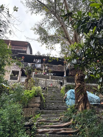 The image depicts a steep, multi-tiered residential area in Gongtan, China, viewed from a low angle looking uphill. A weathered stone staircase, approximately twenty steps long, ascends from the bottom center towards a multi-story wooden building. Large, exposed tree roots intertwine with the lower steps on the right side. Dense green foliage and bushes flank the staircase and grow on stone retaining walls. On the right, at the base of a tree, a large blue tarp covers an unseen object.

Midway up the steps, a black lamppost stands on the right, and a red fire hydrant is mounted on a stone wall to the left. The upper section of the scene features a traditional Chinese wooden building with dark brown intricate railings and multiple balconies. Red lanterns are suspended from the eaves and balconies. Laundry, primarily white and light-colored clothing, hangs from a clothesline on the central balcony. Several potted plants are arranged on the balconies and ledges. A person is partially visible on the left side of the central balcony. The building's architecture includes a sloped roof and an upper balcony with similar wooden railings. The background consists of dense green trees against an overcast, light gray sky.