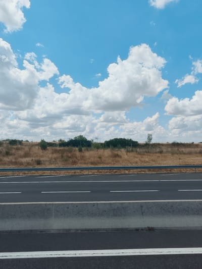 The image captures a highway scene under a bright, cloudy sky. The foreground is dominated by the asphalt of the road, marked with white lines indicating lanes. A concrete barrier separates the lanes from the shoulder. Beyond the road, a wide expanse of dry, golden grass stretches towards a line of green trees and shrubs. The sky above is a vibrant blue, dotted with fluffy white cumulus clouds, suggesting fair weather. The sun appears to be high in the sky, casting bright light on the scene, indicative of daytime. There is no visible text in the image. The scene appears to be located in a rural or semi-rural area, characteristic of the landscape found in Diou, France, with its open fields and roads. No people or specific activities are depicted, giving the image a sense of stillness and journey.