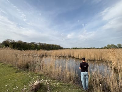 A man stands at the edge of a body of water, presumably fishing, in Kruibeke, Belgium. He is facing away from the camera, wearing a black t-shirt and light blue jeans. The area surrounding the water is filled with tall, dry reeds. A line of trees is visible in the background. The sky is overcast with scattered clouds. A cut tree stump with wood shavings is visible on the left side of the image.