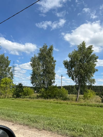 The image depicts a rural landscape in Oznobishino, Russia, under a partly cloudy blue sky. In the foreground, a patch of dry earth is visible with a car's side mirror element in the lower left corner. This transitions to a vibrant green grassy field. In the middle ground, there is a line of lush green trees and bushes, with two prominent birch trees standing out, one on the left and another leaning slightly to the right in the center. Beyond the trees, a tall, blue metal power pylon can be seen on the left, and a utility pole with wires stretches across the frame in the mid-ground. A dense, dark green forest forms the horizon line. The scene is brightly lit, suggesting it was taken during daylight hours.