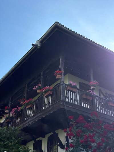 A low-angle exterior shot captures a detailed view of the eaves and balcony of a traditional wooden house in Barziya, Bulgaria. The dark wooden roof tiles create a textured edge against a clear, bright blue sky. A white downspout is attached to the gutter near the corner of the roof.

The balcony, also constructed from dark wood, wraps around the corner of the house. It features a decorative wooden railing with vertical slats. Several planters filled with vibrant pink and red flowers adorn the balcony. Some planters hang from the eaves above, adding further floral accents. The wall of the house visible behind the balcony is painted a light yellow.

In the foreground, a lush bush of red roses with numerous blooms climbs towards the balcony. The bottom portion of the house is visible with white walls and dark trim around windows. The scene suggests a well-maintained, rustic dwelling in a rural Bulgarian setting, likely during a sunny day given the clear sky and bright lighting.
