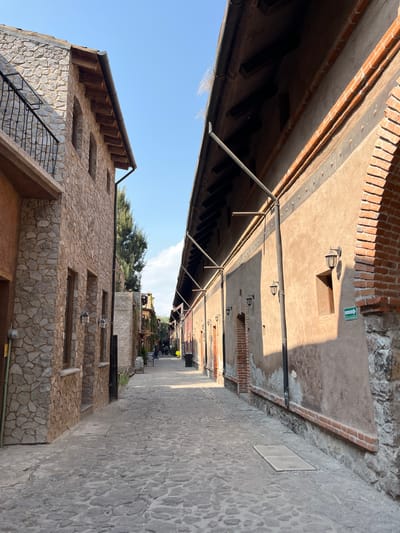 The image captures a narrow alleyway in Domingo Arenas, Mexico. The alley is flanked by buildings constructed with a combination of stone and brick. The building on the left features a stone facade and a staircase. A protective awning or structure covers the alley, supported by metal beams. In the distance, there are people walking and interacting in the alleyway, suggesting it is a public space. The environment is characterized by the architectural style, use of materials like stone and brick, and the presence of structures that offer shade.
