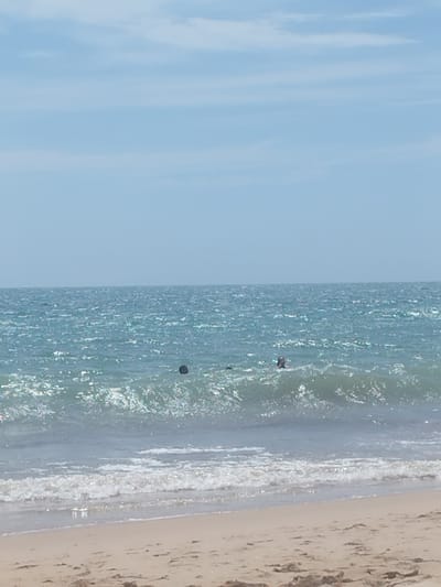 The image depicts a wide shot of the ocean at Rota, Spain, on a bright, hazy day. The sky is a pale blue with scattered white clouds. The sea is a shimmering turquoise, with small to medium-sized waves breaking near the shore. The beach in the foreground is sandy, with some scattered debris.

In the water, there are at least two people visible. One person is swimming or wading in the middle distance, with their head and shoulders above the water. Another dark object, possibly a person or a buoy, is visible further out in the water. The sunlight reflects brightly off the water's surface, creating a sparkling effect. The overall impression is of a calm, sunny day at the beach.