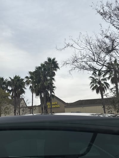 The image shows a building with the sign "Planet Fitness" on it, lined by palm trees. A leafless tree is visible in the upper left corner. The view appears to be taken from inside a vehicle, with the window frame partially visible on the right side. The sky is overcast and grey.