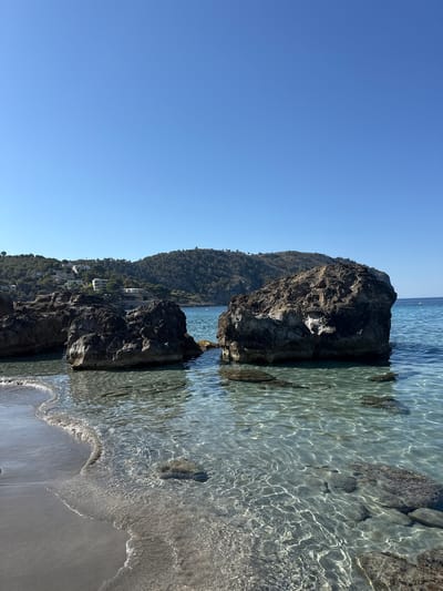 This is a photograph of a tranquil beach scene in Andratx, Spain, taken on a clear, sunny day. The image is oriented vertically, showcasing a steep, tree-covered hillside dotted with white buildings overlooking a rocky coastline. The foreground features shallow, crystal-clear turquoise water lapping gently onto a sandy shore. Large, dark rocks are partially submerged in the water and protrude from the land, creating a dramatic contrast with the calm sea. The sunlight glints off the water's surface, creating a shimmering effect. The sky is a vibrant, cloudless blue. The scene evokes a sense of peace and natural beauty, typical of a Mediterranean coastal landscape. No people or specific objects are the focus of the image, with the natural elements of the land, sea, and sky being the primary subjects. The time of day appears to be midday or early afternoon, given the bright sunlight and clear sky.