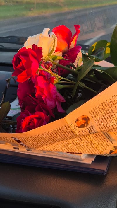 A bouquet of red and white roses is placed on top of an open newspaper. The roses are partially wet, with visible water droplets on the petals. The newspaper's pages are yellowed and creased, with visible text in Cyrillic script. The scene is lit by warm, golden sunlight, casting long shadows. The background is blurred, showing a gray, reflective surface that could be a car dashboard or window, with a hint of greenery and sky visible beyond. The overall impression is one of natural beauty juxtaposed with everyday objects. The image has a shallow depth of field, focusing attention on the roses and the newspaper. The location of Урыцкі сельскі Савет, Belarus, is not discernible from the image itself.