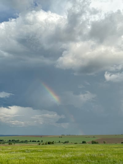 The image depicts a vast, green field under a dramatic sky filled with storm clouds and a visible rainbow. The foreground is dominated by tall, vibrant green grass, suggesting a recent rain or a growing season. In the middle ground, rolling hills are covered with different shades of green fields and patches of dark brown soil, interspersed with clusters of trees. The horizon line is defined by these agricultural landscapes. The sky is a prominent feature, with heavy, dark grey storm clouds dominating the upper portion of the frame, contrasting with lighter, diffused clouds and a clear patch of blue sky. A bright, distinct rainbow arcs across the darker clouds, indicating the presence of sunlight breaking through the rain. The scene is devoid of any human presence or man-made structures, presenting a natural, rural landscape. The location of Николо-Петровка, Russia is a rural, agricultural area, consistent with the visual elements of the image.