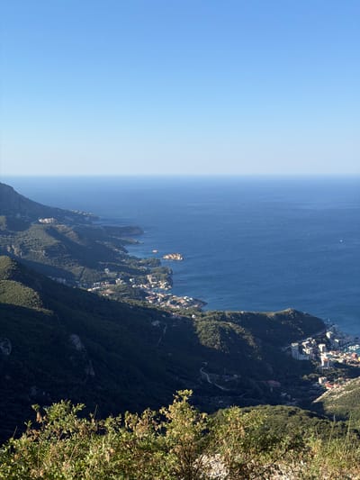 The image captures a panoramic view of the coastline near Brajici, Montenegro. A vast expanse of deep blue ocean stretches towards the horizon under a clear, pale blue sky. The coastline is characterized by steep, densely vegetated mountains that descend sharply towards the sea.
Nestled along the coast, several settlements are visible. Buildings, predominantly white and red-roofed, are clustered in pockets along the shoreline and on the lower slopes of the mountains. Some of these appear to be hotels or residential complexes, with modern architecture. Small boats are visible docked in a harbor.
The terrain is rugged, with winding roads visible on the mountainsides, indicating human activity and access to these coastal areas. The vegetation is lush and green, covering the majority of the mountainous landscape. In the foreground, the branches of a leafy shrub with seed pods are partially in focus, framing the lower portion of the scene. The overall impression is one of a serene coastal landscape with human settlements integrated into the natural environment.