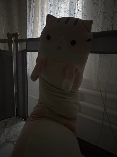 A plush toy cat, predominantly pink and white with dark circular eyes and striped ears, is positioned in a dimly lit room. The toy is elongated and appears to be leaning against or resting within a cot or crib, suggested by the white mesh railing and grey fabric sides visible in the foreground and midground. The background is dominated by sheer curtains with a gold, web-like pattern, through which faint light filters, indicating a window. The overall lighting is low, casting shadows and obscuring details, creating a somewhat eerie or subdued atmosphere. No people or animals are present, and there is no indication of the specific location within Заплавская, Russia.