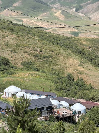 This is a high-angle, eye-level, medium shot photograph taken in the city of Kashka Suu, Kyrgyzstan. The image displays a cluster of yurts and other buildings nestled on a green, hilly landscape. The yurts are white, circular structures with conical roofs, some of which appear to be connected to a wooden deck. Adjacent to the yurts is a dark-colored building with a gabled roof, featuring balconies and windows. In the foreground, a large pine tree partially obscures the view of the structures. The background reveals rolling hills with patches of green grass and bare earth, traversed by winding paths. Power lines are visible stretching across the upper portion of the frame. The scene is bathed in natural daylight, suggesting it was taken during the daytime. There are no people or animals visible in the photograph.