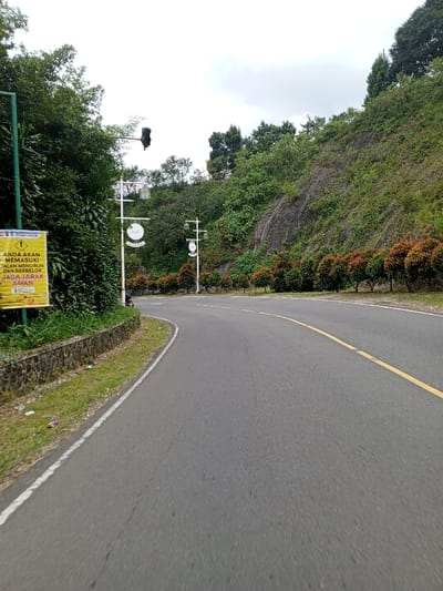 A paved, two-lane asphalt road curves right through a mountainous or hilly environment in Ciloto, Indonesia, under an overcast sky. The road features a solid white line on its left edge and a solid yellow line indicating the curve near its center.
On the immediate left, a low stone retaining wall runs parallel to the road, topped with sparse green grass and scattered refuse, including a pink wrapper. Behind the wall, dense green foliage rises. A yellow rectangular warning sign, affixed to a green pole, is partially visible above the foliage on the left foreground. The sign bears Indonesian text, including "ANDA AKAN MEMASUKI JALAN MENURUN DAN BERBELOK JAGA JARAK AMAN" (You will enter a downhill and curvy road, keep a safe distance). Further back and higher on the left, a dark traffic signal head is visible amidst the trees.
Mid-ground on the left, an individual wearing a helmet is seated on a dark-colored scooter, partially obscured by one of two white decorative light pole structures. Each structure features two lanterns and a round, white sign or emblem suspended below the upper lanterns.
To the right of the road, a uniform row of small, spherical shrubs with reddish-brown foliage extends along the curve. Beyond these shrubs, a steep, rocky hillside covered in varied green vegetation rises abruptly. The upper portion of the hill and horizon line are densely forested with green trees, meeting a light gray, cloudy sky.