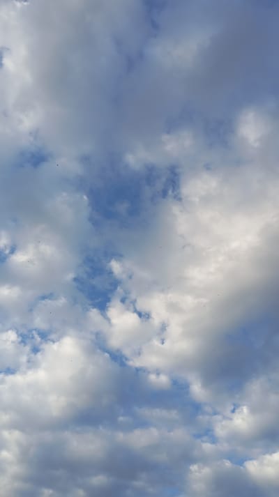 The image captures a dramatic sky filled with a mixture of white and grey clouds, with patches of blue sky visible between them. The clouds appear to be in motion, suggesting a dynamic weather pattern. Scattered throughout the sky are numerous small, dark specks that appear to be birds in flight, adding a sense of scale and life to the vast expanse.

The lighting suggests it could be late afternoon or early evening, given the interplay of light and shadow on the clouds. The overall mood is one of natural grandeur and perhaps a touch of wildness, due to the dynamic sky and the presence of the birds. There are no discernible location cues that specifically point to Baksan, Russia, other than the provided context. No text is visible in the image.