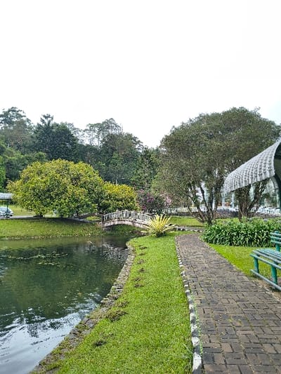 A tranquil park scene shows a serene lake surrounded by lush green grass and trees. A brick pathway winds along the water's edge, lined with grass on one side and the lake on the other. A small white bridge spans a narrow section of the lake. Tall trees provide shade. A white structure with a striped pattern is seen overhead.