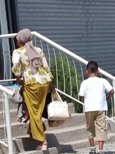 In Obshoron, Tajikistan, a woman wearing a light-colored hijab and a patterned tunic over a mustard-yellow skirt, carrying multiple shopping bags, ascends a set of outdoor stairs. She is followed by a young boy in a white t-shirt and khaki shorts. The stairs are flanked by a white metal railing, and a dark, corrugated metal door is visible in the background. Lush green foliage peeks out from behind the railing. The scene appears to be outdoors, likely on a sunny day, given the shadows cast on the stairs.