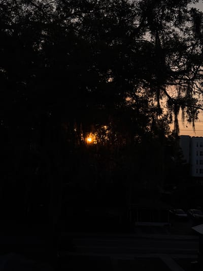 The image depicts an outdoor urban scene at either dawn or dusk, characterized by heavy backlighting. A bright, circular orange-yellow sun is visible through a dense canopy of dark, silhouetted tree foliage in the upper-left quadrant. These trees, consistent with large live oaks, feature prominent strands of Spanish moss hanging from their branches, particularly visible on the right side. The sky transitions from a light grey at the top to warm orange and pink hues near the horizon.

In the right-center background, a light-colored, multi-story building (at least five floors visible) with numerous dark rectangular windows is present. Below this, a paved road extends horizontally across the lower part of the frame, marked with double solid yellow lines. To the right of the road, two dark-colored sedans are parked side-by-side on a paved surface. No individuals are visible. The architecture and vegetation, including the prevalent Spanish moss, are consistent with the city of Gainesville, Florida, United States of America. A specific address or unique landmark for precise localization within Gainesville is not discernible from the provided visual information.