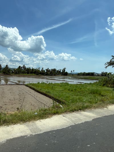 The image depicts a panoramic view of a rural landscape in Hội Tín, Vietnam, under a bright, partly cloudy sky. The foreground is dominated by a paved road with a concrete curb, bordered by lush green grass. Beyond the road lies a vast expanse of flooded rice paddies, reflecting the blue sky and white clouds. In the mid-ground, more rice paddies are visible, some appearing recently plowed and muddy, while others are covered in water, suggesting agricultural activity. A dense line of trees, including palm trees, forms a natural barrier along the horizon, with a few scattered buildings peeking through the foliage, indicating a nearby settlement. The overall scene is one of serene rural life, characterized by agricultural land and natural vegetation bathed in sunlight.