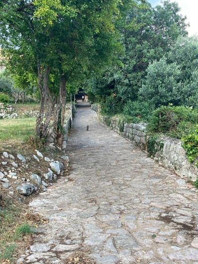 This media file depicts an outdoor scene on a paved path in Podostrog, Montenegro. The path, constructed of irregular grey stones, runs diagonally from the lower right to the upper left of the frame. To the left of the path is a dense arrangement of trees with vibrant green foliage, casting shadows onto the walkway. The trees appear to be mature, with some gnarled branches visible. Further left, a grassy area with scattered rocks and low stone walls suggests a park or garden setting. The background is filled with more greenery and the sky, which appears overcast.
In the middle distance, a small, dark-colored animal, possibly a cat or a small dog, is walking along the stone path. Its presence is a notable detail in the otherwise natural and man-made landscape. The lighting suggests it is daytime, though the overcast sky indicates it may not be a particularly sunny day. The overall impression is one of a tranquil, natural environment, possibly a historical or scenic pathway. There is no visible text in the media file.