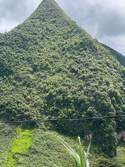 The image displays a steep, conical mountain covered in dense, green vegetation in Đồng Văn Commune, Vietnam. The mountain dominates the frame, with its peak obscured by a slightly overcast, cloudy sky. The lower slopes show evidence of human activity, with a patch of bright green, possibly cultivated, land contrasting with the darker, wilder greenery. A black cable stretches horizontally across the mid-section of the image, suggesting the presence of electrical or communication lines. The foreground features tall, out-of-focus green stalks of vegetation, hinting at a more immediate landscape in front of the mountain. No people are visible in the scene.