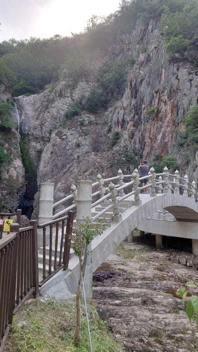 The image depicts a scenic natural landscape in Godang-ri, South Korea, featuring a waterfall, rocky cliffs, and a man-made stone bridge. In the upper left quadrant, a narrow waterfall cascades down a steep, grey and brown striated rock face. The surrounding terrain consists of large, rugged cliffs, sparsely covered with deciduous green trees and shrubs, particularly along the upper ridges and in crevices.

A prominent light grey stone or concrete arch bridge spans the foreground, extending from the lower left towards the upper right. The bridge features ornate balustrades composed of cylindrical posts topped with spherical finials, connected by horizontal bars. One adult male, seen from behind, stands on the right side of the bridge, wearing a dark grey t-shirt, dark shorts, and a baseball cap. He is holding a camera or smartphone with both hands, pointed towards the waterfall and canyon area, actively taking a photograph.

Below the bridge, a wide, relatively dry riverbed is visible, characterized by flat, layered grey and brown rocks. Small patches of dark, possibly wet, material are present on the riverbed. In the lower left foreground, a brown wooden railing with vertical slats delineates the pathway leading to the bridge. A small tree with its lower trunk wrapped in burlap is planted next to this railing, supported by a metal stake. Partially visible behind the wooden railing is a yellow and black warning sign with Korean text "눈.비 올 때 미끄러움 주의" (Caution: Slippery when snowing or raining) and a pictogram of a slipping person. The sky above is bright but hazy, suggesting an overcast day or diffused sunlight.