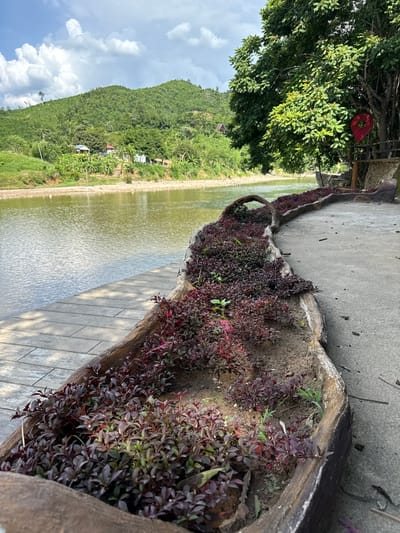 The image depicts a picturesque scene in Nam Khanh Vinh, Vietnam, likely during daylight hours given the bright, overcast sky. The foreground is dominated by a decorative planter filled with lush, dark red-leaved plants, adding a vibrant splash of color to the natural landscape. This planter appears to be made of a textured, wood-like material, curving along a paved walkway.
Beyond the planter, a tranquil body of water stretches out, its surface rippled by a gentle breeze. The water reflects the soft, diffused light of the sky. To the left of the water, a verdant hillside rises, covered in dense green trees and foliage. Small houses and buildings are nestled amongst the trees, suggesting a rural or semi-rural residential area. The slope of the hill is gentle, covered in vegetation that appears well-maintained in some areas, with visible signs of agriculture, such as banana trees.
In the upper left portion of the image, a large tree with dense green leaves shades part of the scene. A bright red, circular object, possibly a decoration or a tag, is visible hanging from one of the branches. The overall atmosphere of the image is serene and peaceful, highlighting the natural beauty of the Vietnamese countryside. There is no visible text in the image.