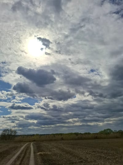 A low-angle, long shot reveals a rural scene in Treshchevka, Russia. A dirt road with tire tracks cuts through a brown, dry field on the right side of the image. A line of trees and tall grasses separates the field from the sky. The sky dominates the image, filled with a mix of white and gray clouds, with a bright sun partially obscured by the cloud cover on the left side.