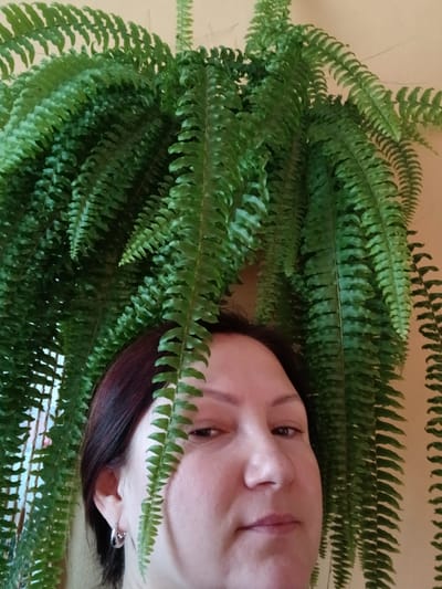 A medium shot shows a woman's face peering out from under a hanging fern plant. The woman has dark hair and is wearing a silver hoop earring. The fern plant is lush and green, with long, frond-like leaves that cascade downwards. The background is a plain, light-colored wall. The scene appears to be indoors, possibly in a home or office.