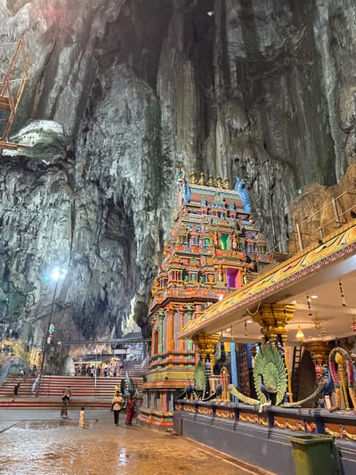 This vertical image captures a vibrant Hindu temple structure nestled within a massive natural cave. The right side of the frame is dominated by the multi-tiered, elaborately decorated temple, adorned with countless small, colorful statues, intricate carvings, and designs in red, blue, green, yellow, and gold. Golden finials and roof decorations, along with prominent peacock sculptures featuring fanned tails, add to its ornate appearance.

The left and upper portions of the image reveal the imposing natural rock formations of the cave, displaying varied textures, strata, and rugged surfaces under artificial lighting. Some metallic scaffolding or support structures are visible against the cave walls and near the temple's upper sections.

Numerous people, appearing to be visitors or devotees, are scattered across the lower right section of the image. Some are walking on a wet, reflective floor, while others are seen on a set of wide steps with red and white stripes leading up towards the temple. The artificial lights illuminating the scene cast reflections on the damp ground.

The activity taking place appears to be general visitation or worship within this unique cave temple setting. The overall atmosphere suggests a place of cultural and religious significance. The architectural style of the temple, combined with its cave location, strongly indicates the Batu Caves in Malaysia, within the context of Selayang Municipal Council. No discernible text is clearly legible in the image, though some stylized script appears on a green panel above the peacocks. The time of day is not explicitly clear, but artificial lighting suggests an indoor setting or evening.
