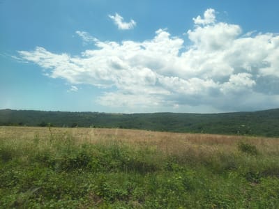 The image captures a landscape scene in the region of Banya, Bulgaria. The sky is a clear blue with scattered white cumulus clouds, some of which are dense and shadowed, suggesting potential for rain. Below the sky, a rolling landscape unfolds. In the foreground, there is dense green vegetation and tall, dry grass. Beyond this, a field of dry, golden-brown grass stretches towards a backdrop of a lush, green, forested hill that dominates the middle ground. The hill appears to be covered in deciduous trees, and its undulating surface forms a natural horizon line. The overall impression is one of a rural, natural environment under a partly cloudy sky.