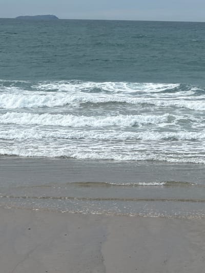 The image shows a wide, tranquil ocean meeting a sandy beach under an overcast sky. In the distance, a low-lying island is visible on the horizon, a dark silhouette against the muted sky and sea. The water is a deep teal, with gentle waves breaking in foamy white lines as they approach the shore. The beach is a light sandy color, appearing mostly empty except for a few small dark specks that could be pebbles or shells. The foreground shows the shallowest part of the ocean, with calmer water reflecting the grey sky. The scene evokes a sense of peace and vastness. Without further information, the specific location within Coffs Harbour, Australia, cannot be identified from the image alone.