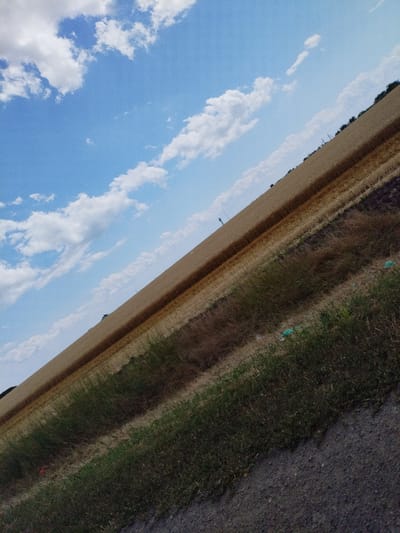 The image depicts a tilted view of a wheat field under a sky with scattered clouds. A narrow dirt road runs along the bottom right edge of the frame, bordering a patch of green grass and weeds. Beyond the grassy area, the golden wheat field stretches diagonally across the image, showing distinct rows. In the distance, a silhouette of trees can be seen along the horizon. A solitary figure, appearing as a dark silhouette, is visible on the wheat field in the middle distance. The overall impression is that of a rural landscape.