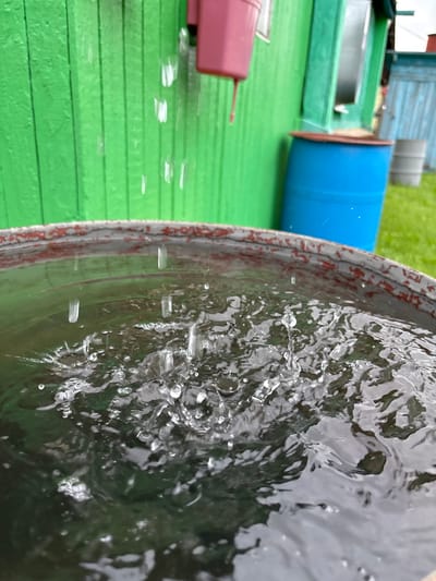In Gonja, Russia, water is seen dripping from a pink downspout onto the surface of a large, rustic metal barrel filled with dark water. The barrel is positioned in front of a vibrant green wooden wall. Behind the barrel, a bright blue plastic barrel stands, and further in the background, a gray barrel is visible, alongside a blue structure. The ground appears to be covered in green grass. The focus is on the water droplets creating ripples and splashes as they impact the surface of the water in the foreground barrel, suggesting an active rainfall or water collection scenario.