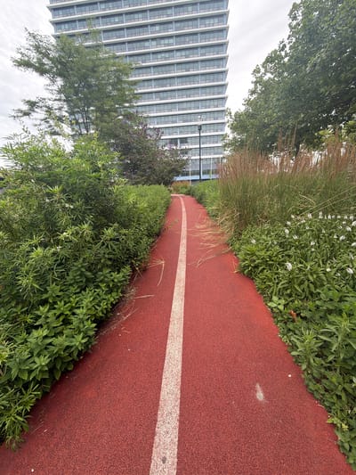 This media file depicts an outdoor scene with a red running track in the foreground, bordered by lush green vegetation and tall grasses. A white line marks the edge of the track. In the background, a modern, multi-story building with a facade of windows and white framing stands out. Trees with green foliage are interspersed between the building and the track. The sky appears overcast. The scene suggests a park or recreational area adjacent to an urban setting. There is no visible text in the image. The time of day appears to be daytime, with cloudy weather.