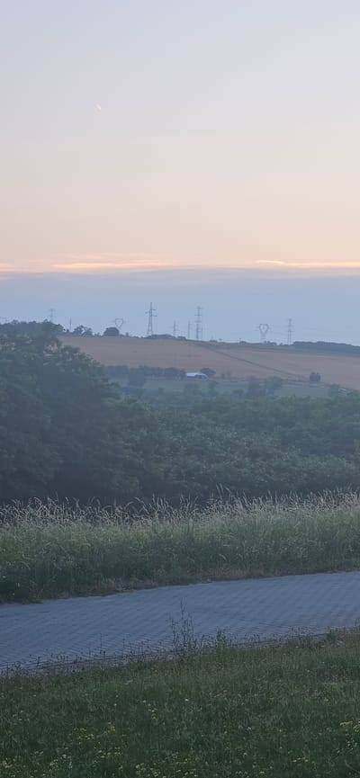 The image depicts a landscape view from a slightly elevated perspective, likely overlooking the outskirts of Hévíz, Hungary, given the context of its typical scenery. The foreground features a paved pathway, possibly a sidewalk or bike lane, made of grey rectangular bricks laid in a herringbone pattern. Adjacent to the pathway is a strip of green grass with scattered wildflowers, primarily yellow and white, indicating a natural or semi-natural setting.
Beyond the immediate foreground, the landscape rises into a series of rolling hills. The mid-ground is dominated by dense, dark green foliage, likely trees and bushes, creating a lush, verdant layer. Further back, the hills transition into cultivated fields, appearing as stretches of golden-brown stubble, suggesting they have been recently harvested or are agricultural land.
Silhouetted against the hazy sky are numerous tall, lattice-like electricity pylons. These structures are distributed across the horizon, marking the presence of a power line infrastructure within the rural or semi-rural environment. The sky itself is a soft gradient of pale blue and delicate pink, with thin, horizontal clouds tinged with peach and lavender, indicative of either dawn or dusk. A faint streak, possibly a contrail from an aircraft, is visible in the upper left quadrant of the sky. The overall atmosphere is serene and tranquil, with a soft, diffused light. There are no people or animals visible in the scene, and no specific actions or interactions are taking place. The environment is characterized by natural elements, agricultural fields, and industrial infrastructure.