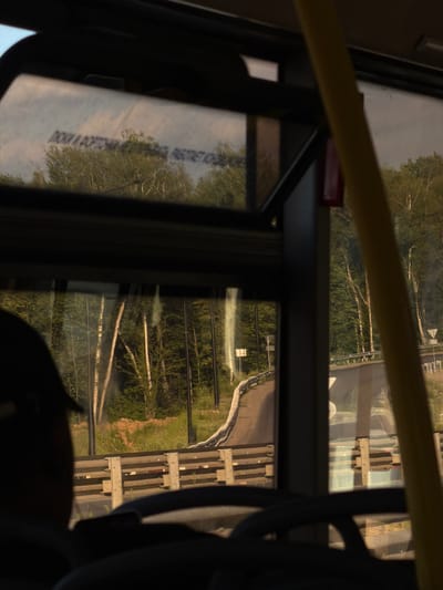 The image depicts a view from inside a vehicle, likely a bus or train, looking out of a window. The scene outside is dominated by a lush green forest with numerous trees, some of which appear to be birch trees with their characteristic white bark and branches. The ground is covered in grass and vegetation.
A winding road or path is visible in the middle distance, with a low concrete barrier along its edge. Further in the background, there are structures that resemble railway tracks or an elevated walkway with wooden and metal supports. The reflection on the window suggests that the photo was taken during daylight, likely late afternoon or early evening, given the warm, golden light illuminating the scene.
The interior of the vehicle is partially visible, with dark seats and a yellow handrail in the foreground, indicating a passenger's perspective. The window has some text printed on it, which is partially visible and appears to be in Cyrillic script. The text is distorted by the reflection and the angle, making it difficult to read clearly, but it might be instructional or informational.
The overall impression is one of a serene journey through a natural landscape, with the contrast between the man-made interior and the natural exterior creating a sense of peaceful observation. The lighting and reflections suggest a calm and pleasant atmosphere.