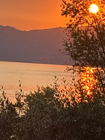 The image depicts a sunset over Lake Garda, Italy. The sun, a bright, incandescent orb, is partially obscured by the branches of a tree in the foreground. The sky is a vibrant orange, fading to a softer peach hue towards the horizon. In the distance, silhouetted hills create a rugged outline against the sky. The water of the lake reflects the warm colors of the sunset, creating a shimmering, golden expanse. The foreground is dominated by dense foliage, likely olive trees, with their leaves catching the fading light. The overall impression is one of natural beauty and tranquility.