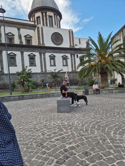 This image captures a scene in Piazza del Gesù Nuovo, Naples, Italy. In the foreground, a cobblestone plaza is visible. A man wearing a dark t-shirt, dark pants, and white sneakers is seated on a stone bench, smoking a cigarette and holding a bottle of beer. A black dog stands next to him. Behind them, a large palm tree with yellow fruit is prominent. In the background, the Church of the Gesù Nuovo is visible with its distinctive Baroque facade and dome. Other individuals are scattered throughout the scene, some sitting on benches or the grass, and others walking. The sky is blue with scattered clouds.