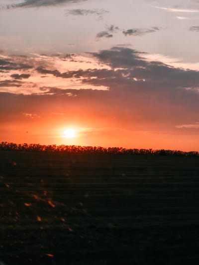 A sunset scene is depicted. The sun is a bright orange orb, partially obscured by clouds. The sky is a gradient of orange and pink, with darker clouds towards the top. Below the sky is a dark line of trees. In the foreground, a dark field is visible, with some blurred orange lights. The image is a vertical orientation. The location of the image is the city of Svetlograd, Russia.